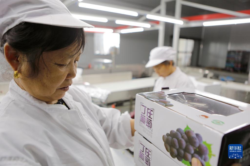 迷你纸牌游戏安卓