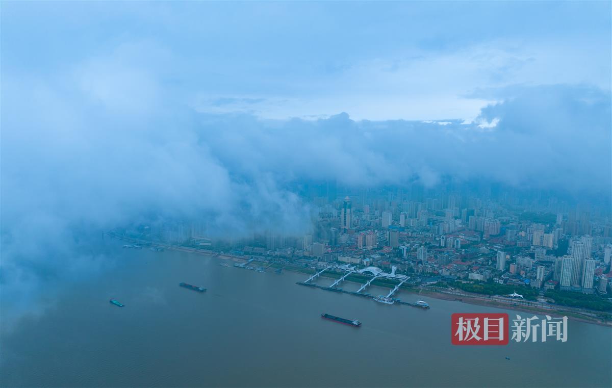 鸿运高手榜网址是多少?